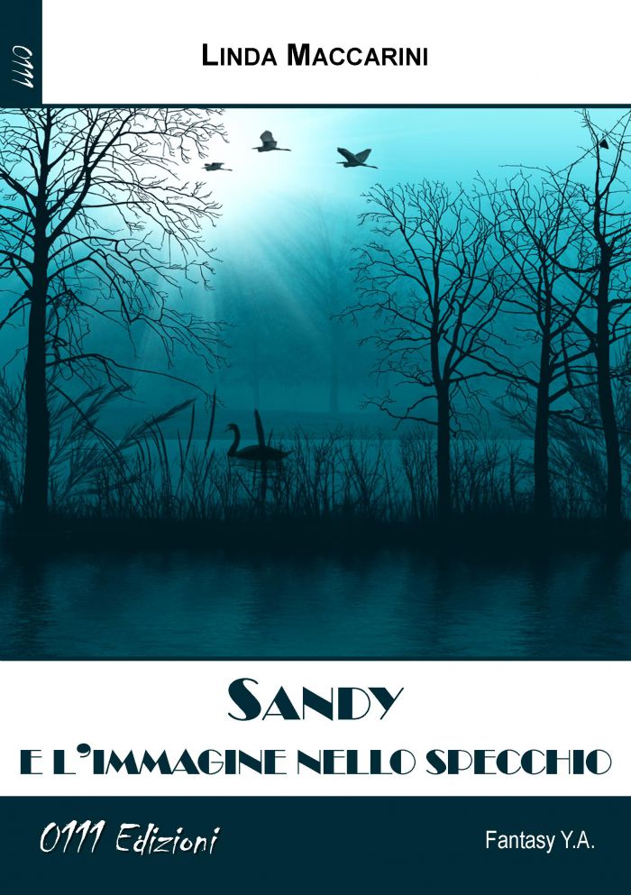 Sandy e l'immagine nello specchio - di Linda Maccarini